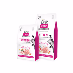 Brit 8595602540662, Adulte, Poulet, Dinde, 7 kg
