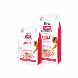 Brit 8595602540822, Adulte, Poulet, Volaille, Turquie, 2 kg, Sans grain, Sans gluten