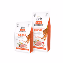 Brit 8595602540853, Junior, Poulet, 2 kg, Sans grain