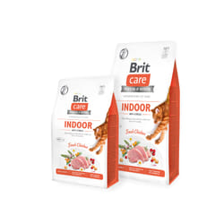 Brit 8595602540853 croquette pour chat 2 kg Junior Poulet