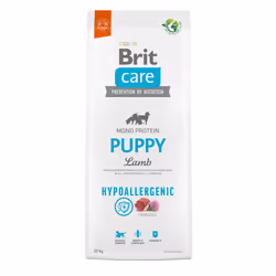 Brit 8595602558957, Chiot, Agneau, Riz, 12 kg