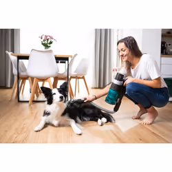Concept VP6110 aspirateur de table Noir, Bleu Sans sac