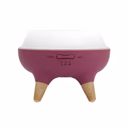 Concept DF1011 diffuseur aromatique Réservoir Rose