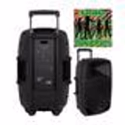 ENCEINTE SONO PORTABLE 15’’ PRO sur batterie PARTY KARAOKE BLUETOOTH 250W USB TWS MSD + MICRO-MAIN SANS FIL + MICRO-SERRE TET ...