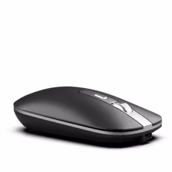 Inca IWM-531RA souris Droitier Bluetooth