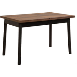 Table à manger - OLIVER - Extensible - Rectangulaire - 4 personnes - 120 x 77 x 75 cm - Noir