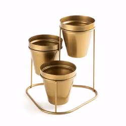 Wallxpert GED-014-B, Support de pots, Métal, Or, Intérieure, 190 mm, 190 mm
