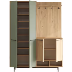 Meuble dentrée avec placard à chaussures et patères Sylvie marron vert