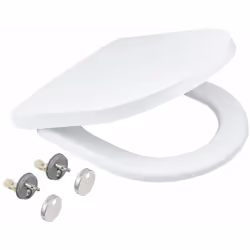 Abattant WC avec couvercle matériau : duroplast couleur : blanc alpin avec amortisseur de fermeture SoftClose amovible kit de ...