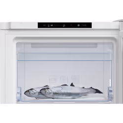 Beko RFNM200T40WN Congélateur vertical Pose libre 177 L E Blanc - Vue supplémentaire 4