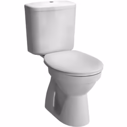 Description générale Le pack WC Normus de Vitra, avec sa finition blanche brillante, allie élégance et fonctionnalité pour to ...
