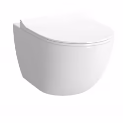 Description générale Bol céramique suspendu, conçu pour une installation compacte et efficace. Ce modèle blanc avec bride est ...