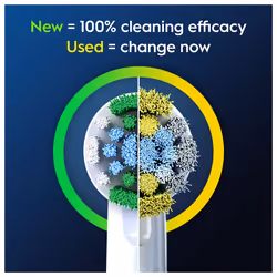 Oral-B Pro Precision Clean Brossettes Pour Brosse À Dents, 12 Unités - Vue supplémentaire 4