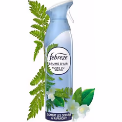 Febreze  Désodorisant brume dair Rosée du matin Désodorisant Laérosol de 185ml