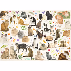 Premium Collection 1000- Poster chat