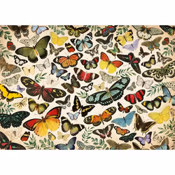 Premium Collection 1000 - Poster Papillon