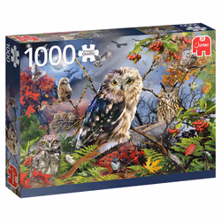 Premium Collection 1000- Owls in the Moonlight, 1000 pièce(s), Animaux, 12 an(s)
