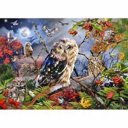 Premium Collection 1000- Owls in the Moonlight