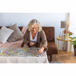 Jan van Haasteren 20043 puzzle Jeu de puzzle 1000 pièce(s) Dessins animés