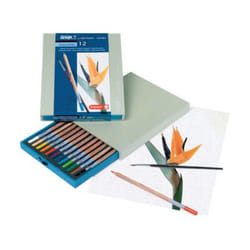 Artexport ME8710141083177 crayon de couleur 12 pièce(s)