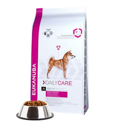 Eukanuba Daily Care Sensitive Digestion 12,5 kg Adulte Poulet, Riz