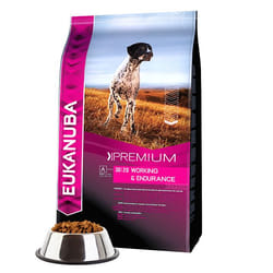 Eukanuba PREMIUM PERFORMANCE 15 kg Adulte Poulet, Dinde