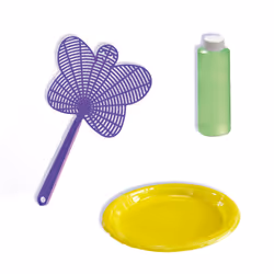 SES Creative Bulles papillon