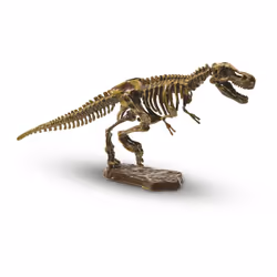 SES Creative Explore Recherche ton Tyrannosaure