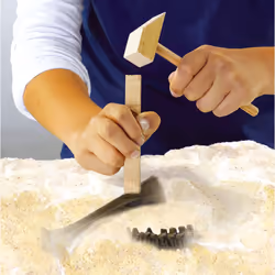 SES Creative Explore Recherche ton Tyrannosaure