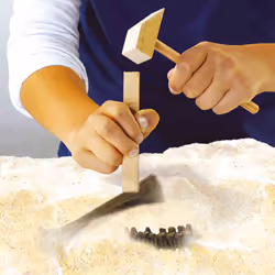 SES Creative Explore Recherche ton dinosaures et de squelettes 2 en 1 - Tricératops