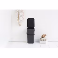 Brabantia Sort & Go Poubelle Plastique Gris 12 L