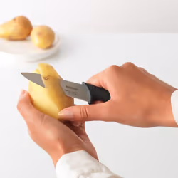 Brabantia Tasty+ Acier Couteau d'office