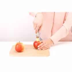 Brabantia 250101 Vide-pomme Acier inoxydable