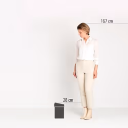 Brabantia TOUCH BIN 3 L Rond Acier