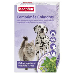 Beaphar Comprimés Calmants pour Chiens et Chats 20 Comprimés