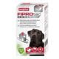 Beaphar Fiprotec Combo Pipettes Puces Tiques et Poux Broyeurs Grand Chien (20-40 kg) 268ml x 3 unités