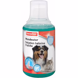 La solution Buccafresh Beaphar permet de lutter contre la mauvaise haleine de votre chien ou de votre chat et réduit la forma ...