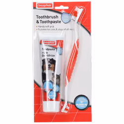 Pack Pâte dentifrice et brosse à dents Beaphar - BEAPHAR