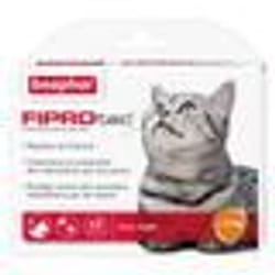 fiprotec pipettes antiparasitaires pour chat de plus de 1kg 6x05ml BEAPHAR