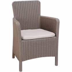 Cette chaise de salle à manger Trenton d'Allibert sera un accessoire pratique ainsi que décoratif dans votre jardin, sur le b ...