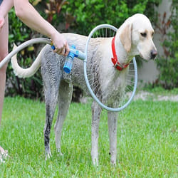 Nettoyeur pour animaux de compagnie 360° abs pour tuyau