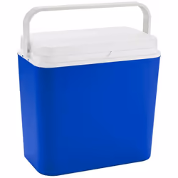 Frigo Camping Model Champs Bleus 24 L. Dimensionos: 39x24x39cm (largeur/profondeur/hauteur) Capacité De Stockage De Bouteille ...