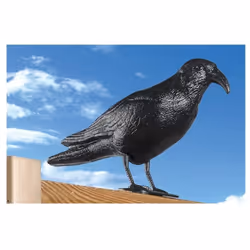 Description générale Éloignez les oiseaux indésirables de votre jardin, toit ou potager avec cet épouvantail en forme de corb ...