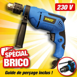 Perceuse à percussion 230 volts