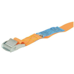 Carpoint - Sangle 5mx25mm Max 250kg