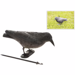 Cuervo ahuyenta pajaros Medida : 19x39cm (ancho/fondo) (ideal para jardin, tejados, huertas... Para ahuyentar palomas, estorn ...