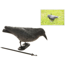 EDM - pouvantail anti-oiseau en forme de corbeau 19x39cm