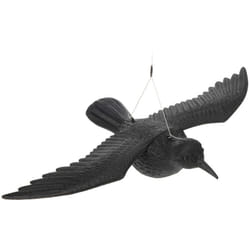 EDM - Corbeau en plastique (volant) 57cm