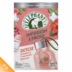 Lot de 6 - ELEPHANT Infusion Bien-Etre Detox Froid - (6 x15 Sachets Pyramides)