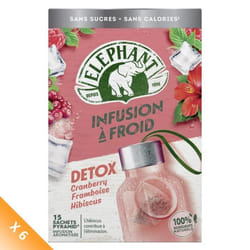 Lot de 6 - ELEPHANT Infusion Bien-Etre Detox Froid - (6 x15 Sachets Pyramides)